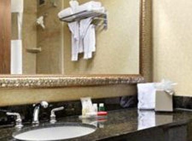 Ramada Plaza Hotel Columbus Bilik gambar